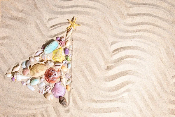 Christmas tree  made from shells and corals on beach sand with copy space, flat lay — Stock Photo, Image