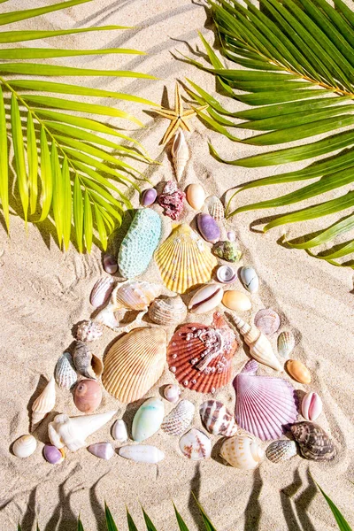 Świąteczne tło plaży z kreatywnym układem muszli tworzących choinkę na teksturowanym piasku z liniami żebrowanymi i zielonymi brunchami palmowymi, skład pionowy — Zdjęcie stockowe