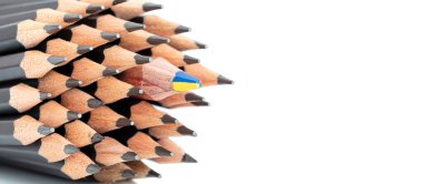 Beyaz arka plan üzerine çizim yapmak için siyah kalemlerle çizilmiş çok renkli bir kalem. Makro çekim.