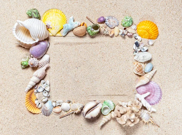 Frame Made Mix Seashells Corals Clean Fine Sand Top View — Stock Photo, Image