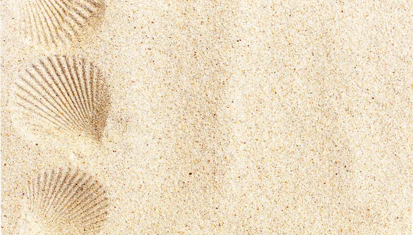 White Clean Sand Seashell Print Top View Copy Space Summertime — Stock Photo, Image