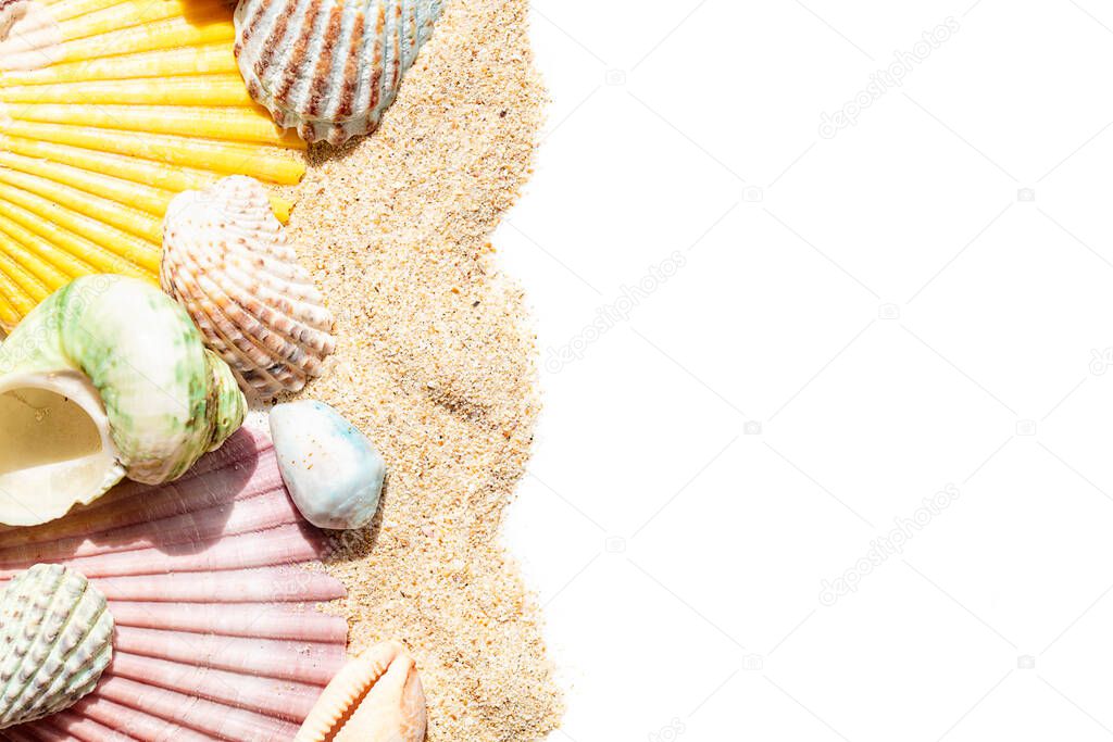 Sea shells in sand isolated on white background, with copy space 