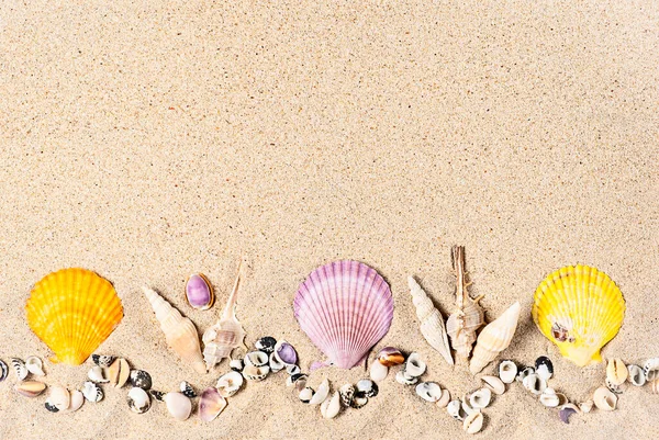 Flat lay composition with colourful sea shells and corals on sand, flat lay, copy space. Travel and vacation concept — Stock Photo, Image