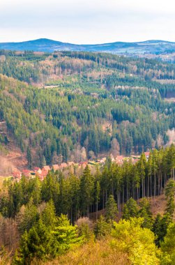 Tepeler orman ile. Doğa manzaralı panoramik manzara