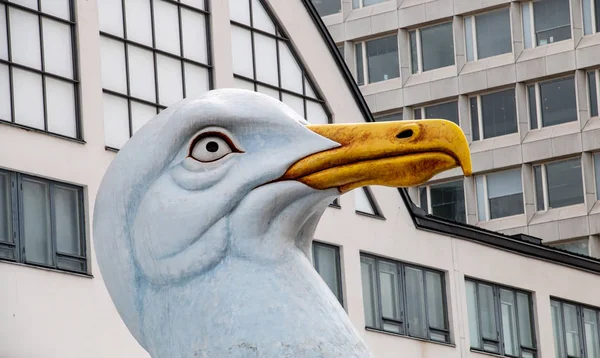 Big seagull head. Helsinki Art Museum — Stock Photo, Image