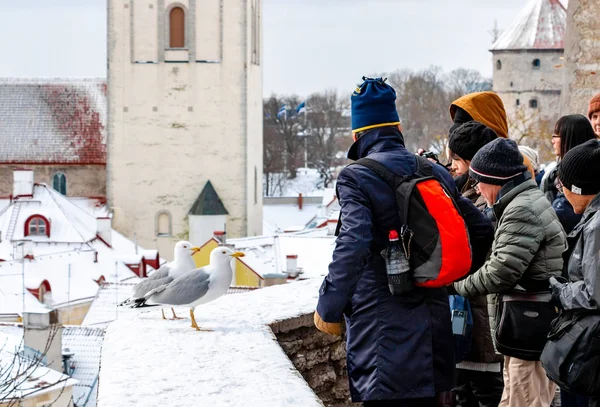 Grupo de turistas em Tallinn cidade velha — Fotografia de Stock