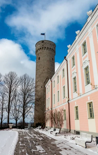 Torre alta Hermann ou Pikk Hermann em Tallinn — Fotografia de Stock