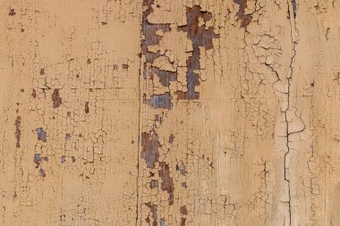 Ahşap doku yakın çekim fotoğraf. Ahşap duvar