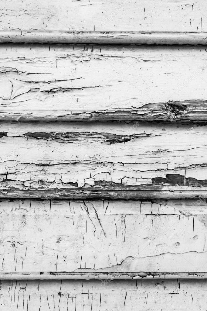 Wood texture close-up photo. Vintage wooden wall