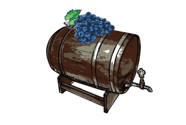 Bir varil ile bir avuç üzüm, el çizilen illüstrasyon.