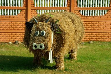 Samanlık bir inek şeklinde. Saman hasat