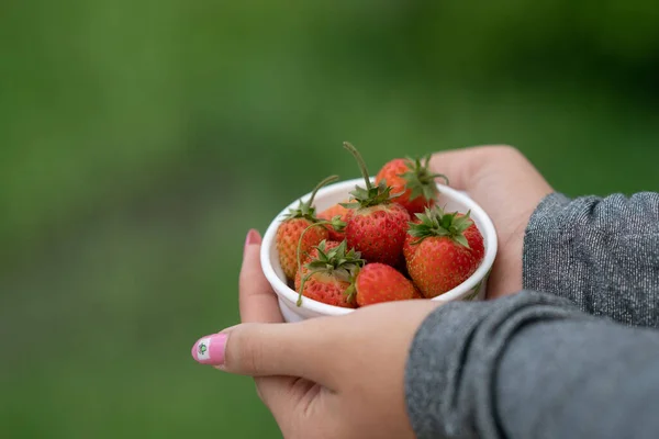 Kız elinde çilekli beyaz bir fincan tutuyordu. Kadın eli, arka planda çilekli bir fincan tutar.