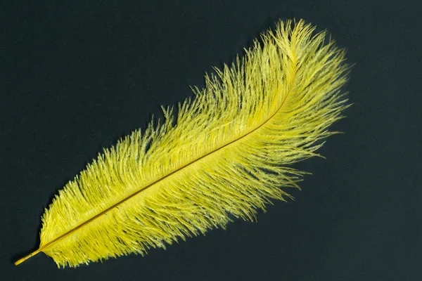 Pena Amarela Única Isolada Fundo Preto — Fotografia de Stock