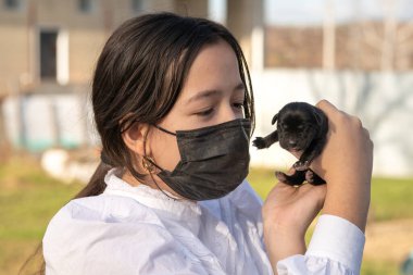 Yüzünde koruyucu maskeli bir kız yeni doğmuş bir labrador yavrusu tutuyor. Sevgi. Şefkat kavramı. İlk gün hayatı.