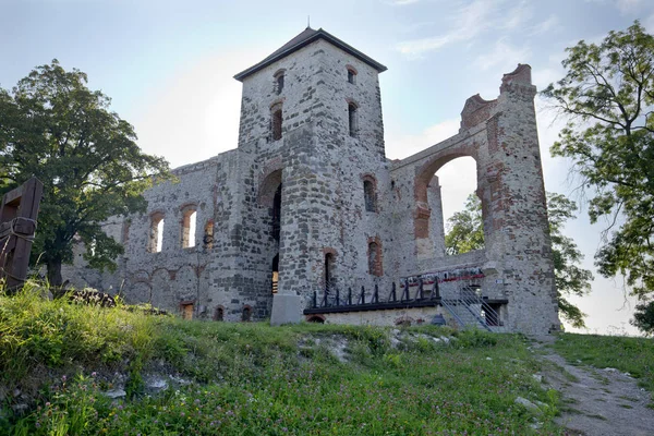 Castillo Tenczyn Ruinas Castillo Medieval Que Yace Llanura Cracovia Czstochowa —  Fotos de Stock