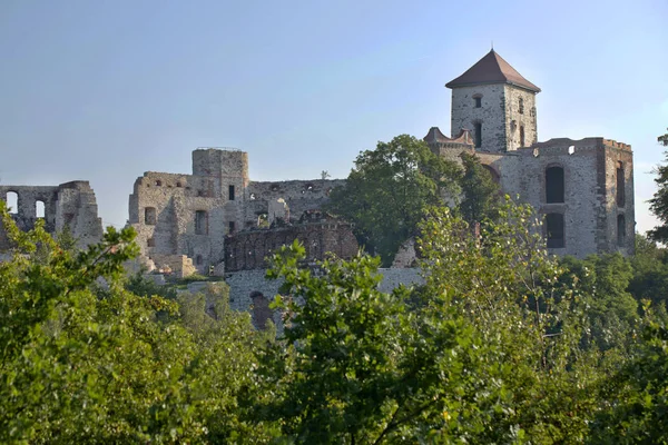 Castelo Tenczyn Ruínas Castelo Medieval Situado Planalto Cracóvia Czstochowa — Fotografia de Stock