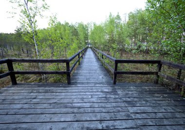 Biebrza Milli Parkı - eğitim yolları