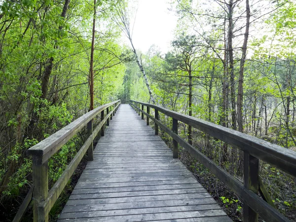 Biebrza Nationalpark Lehrpfade — Stockfoto