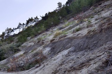 Wolin Milli Parkı'nda deniz tarafından tahrip pitoresk kayalıklar