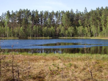 Batan güneşin ışınlarında üç küçük distrofik göl ile moraine doğa rezervbahar manzara.