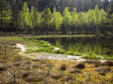 Batan güneşin ışınlarında üç küçük distrofik göl ile moraine doğa rezervbahar manzara.