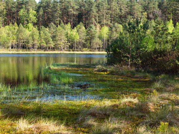 Vårlandskap Moraine Naturreservat Med Tre Små Dystrofa Sjöar Strålar Solnedgången — Stockfoto