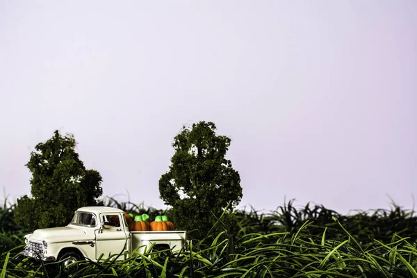 Model Classic Chevy Pickup Truck Full Candy Pumpkins Isolated Tall — Stock Photo, Image