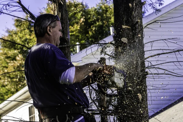 profesyonel erkek ağaç düzeltici yüksek çam ağacı kesme dallarındaki gaz ile testere talaş ile desteklenmektedir ve toz gördüm