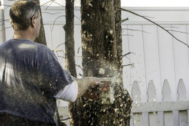 male tree trimmer cutting pine tree with gas powered chainsaw with one hand next to white fence with wood chips and saw dust flying