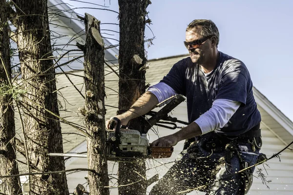 Hombre Con Gafas Sol Altas Pino Cortando Ramas Con Motosierra —  Fotos de Stock