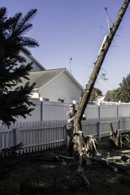 adam beyaz çit yakınındaki chainsaw ile çam ağacı ve düşen ev dikey resim yakalar ağaç kesme güneş gözlüğü takıyor