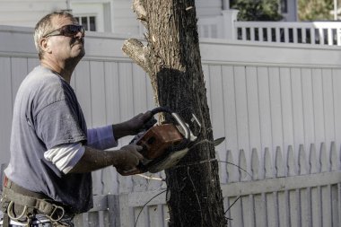 beyaz çit yanında gaz lı testere ile ağaç kesme güneş gözlüğü ile adam uçan ahşap yongaları ile ağaç düşecek görmek isteyen