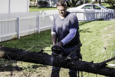 kafa güneş gözlüğü ile adam talaş ve ahşap yongaları uçan çit yanında bahçesinde gaz la çalışan testere ile aşağı indirilmiş çam ağacı kesme
