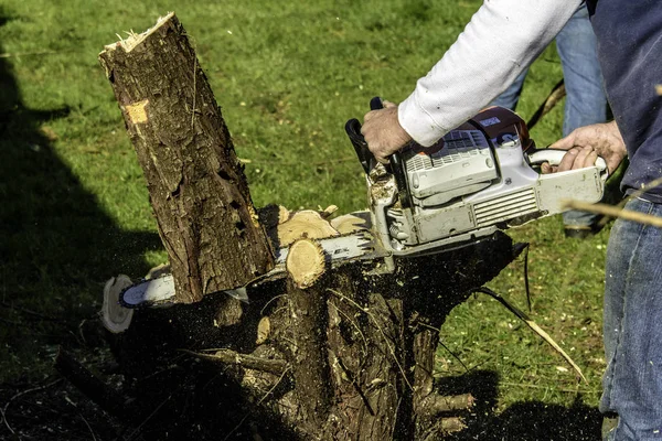 Man Cutting Tree Trunk Met Grote Gas Aangedreven Kettingzaag Groene — Stockfoto
