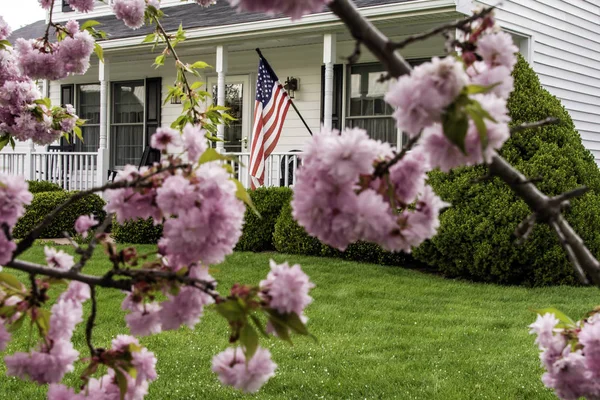 Pembe Kiraz Çiçekleri Siyah Panjurlar Amerikan Bayrağı Peyzajlı Yeşil Çim — Stok fotoğraf