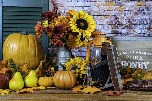 秋天的场景与秋天花橙南瓜果叶木蜂蜜盒灯笼和旧极光相机在木桌上与绿色快门和砖墙背景 — 图库照片
