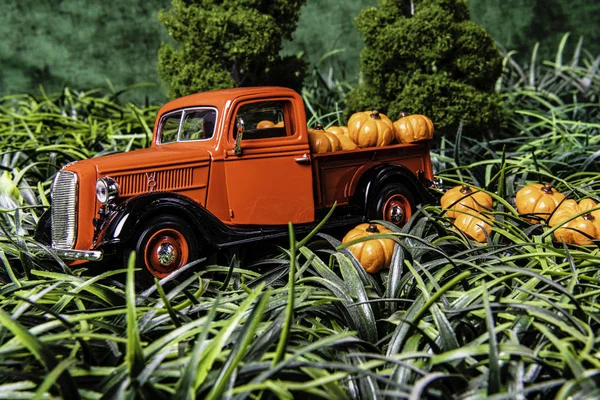 fall scene with old red pick up truck filled with orange pumpkins in pumpkin patch with tall green grass and green background