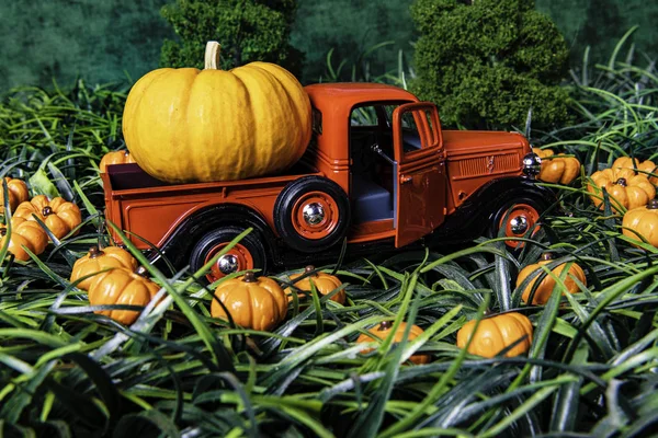 fall scene with old red toy pickup truck with large orange pumpkin in pumpkin patch with tall green grass and green background