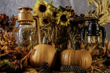 Balkabaklarıyla, ayçiçekleriyle, kozalaklarla ve gaz fenerleriyle