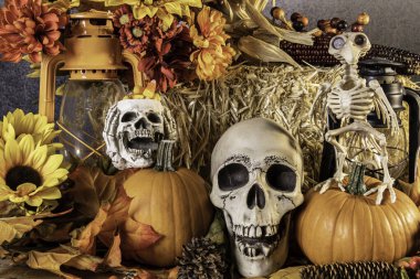 Kafatası kabaklarıyla cadılar bayramı için yatay ve durgun bir hayat düşerken çiçekler, kuş iskeleti fenerler saman balyası ve mısır şekeri.