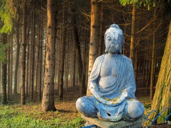 Gamla Demaged Buddha Skogen — Stockfoto