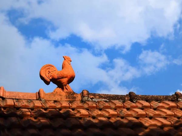 Gallo Rojo Techo Ladrillo — Foto de Stock