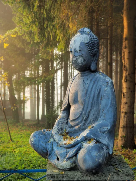 Gamla Demaged Buddha Skogen — Stockfoto