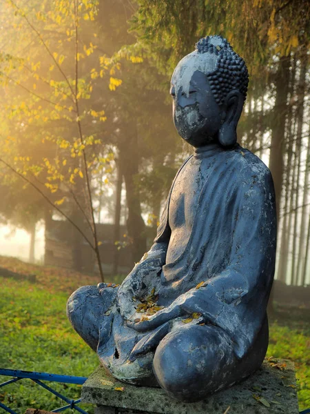 Gamla Demaged Buddha Skogen — Stockfoto