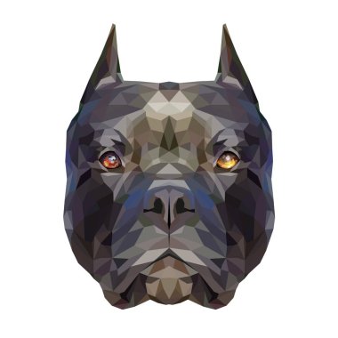 Bir pitbull teriyeri çizmek. Dekorasyon tasarımı ve iş projeleri, kapaklar, reklam ürünleri için yaratıcı çokgen portre..