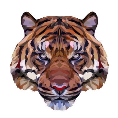 Çokgen grafik tarzında bir kaplanın portresi. Tişört, giysi, logo, baskı ve reklam ürünlerinin tasarımı için.