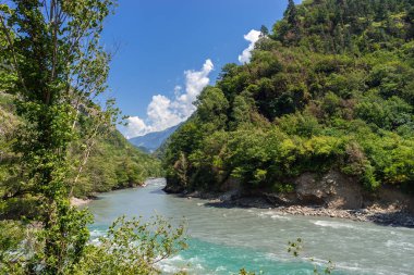 Dağ nehir akar gorge yeşil ağaçlar arasında yaz aylarında gündüz