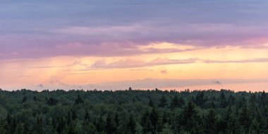 Renkli kırmızı günbatımı gökyüzü bulutlu iğne yapraklı yeşil orman ufukta üzerinde
