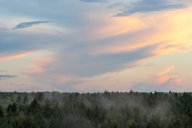 Bulutlar gökyüzü yaz aylarında sisli orman ufukta Sunset'teki üzerinde