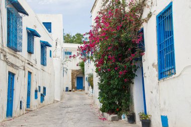 Tunus beyaz ve mavi şehir Sidi Bou Said sokak